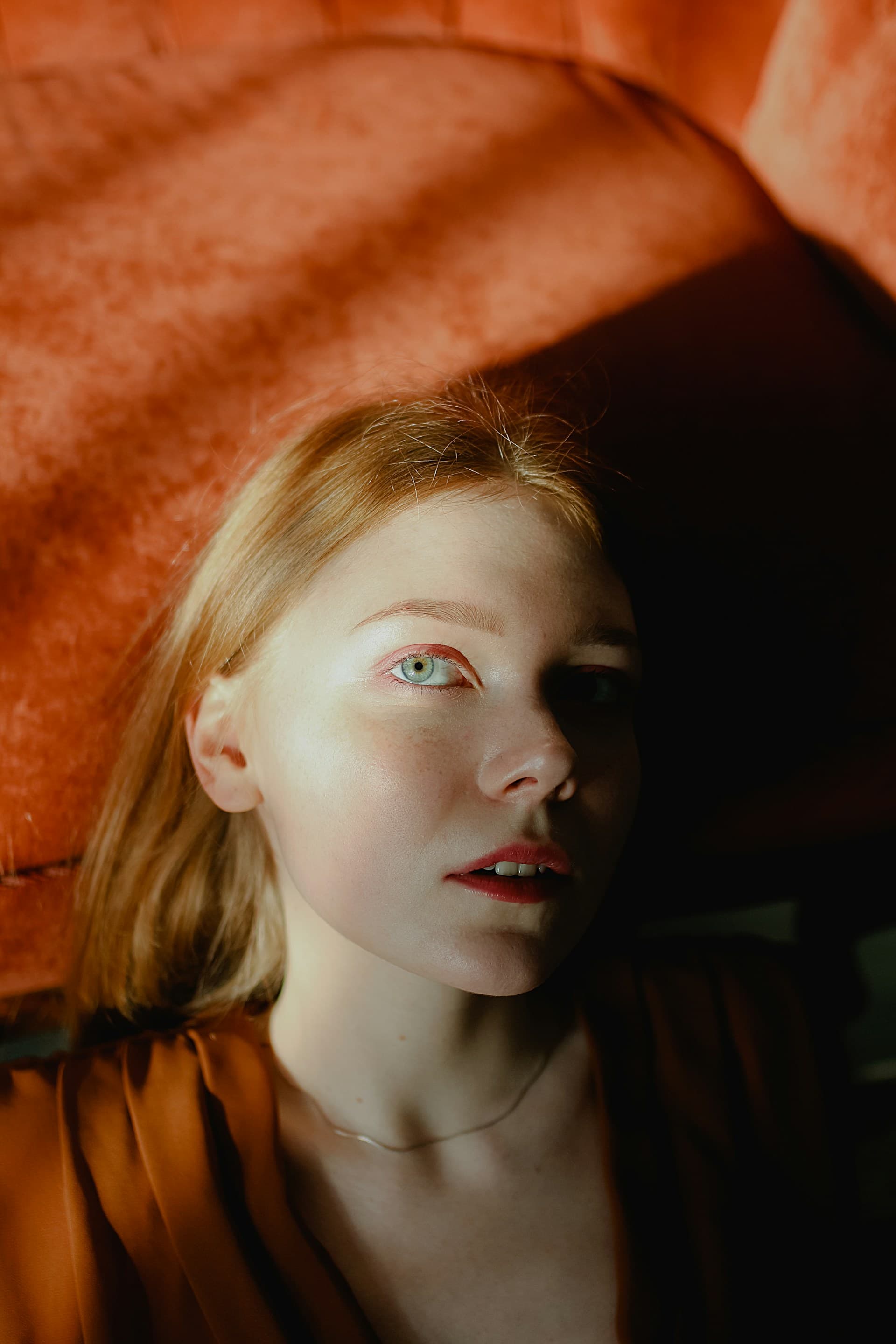 Portfolio Image 1